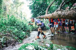 BIB: 
                            <button type="button" onclick="openModal(25466524)" class="btn btn-primary btn-sm float-right btn-popup" data-toggle="modal" data-target=".modal-high-quality">
                        <i class="fas fa-shopping-cart"></i> Add to Cart
                    </button>
                                            <button type="button" onclick="isThisMe(25466524, true)" class="btn btn-success btn-sm float-right btn-popup btn-isme hidden" data-toggle="tooltip" data-placement="bottom" title="นี่คือรูปของคุณใช่ไหม คลิกที่นี่เพื่อเอาเข้าอัลบั้ม">
                        <i class="fas fa-plus"></i> Add to album
                    </button>
                    <button type="button" onclick="isThisMe(25466524, false)" class="btn btn-warning btn-sm float-right btn-popup btn-isnotme hidden">
                        <i class="fas fa-ban"></i> Remove from album
                    </button>